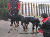 /album/fotogalerie-novinky/kryti-2-jpg/